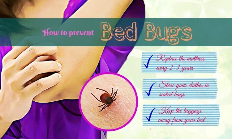 tips to stop bed bugs from entering home