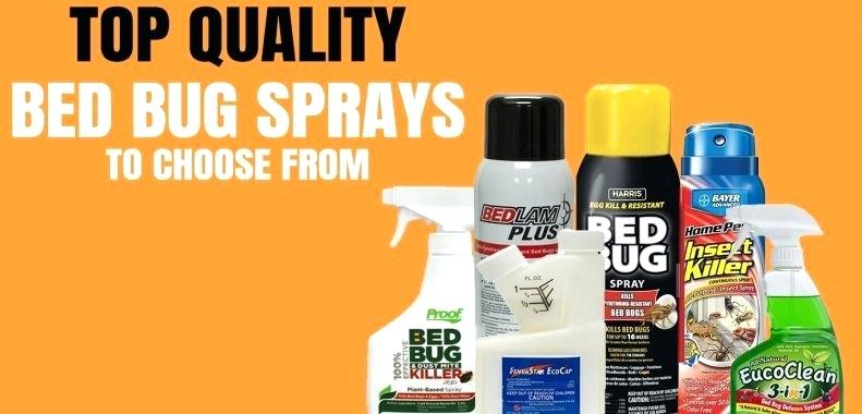 best bed bug killing sprays review